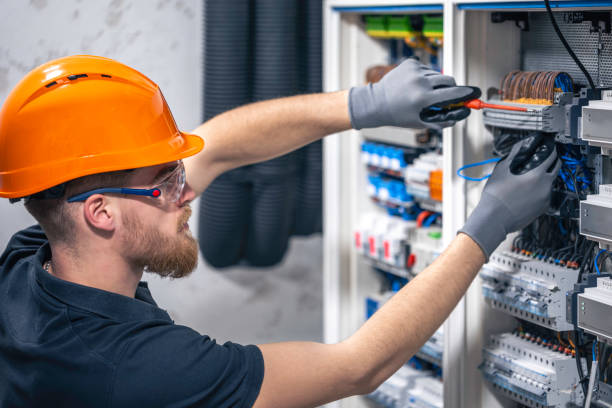 Best Electric Panel Repair  in Barnesville, GA